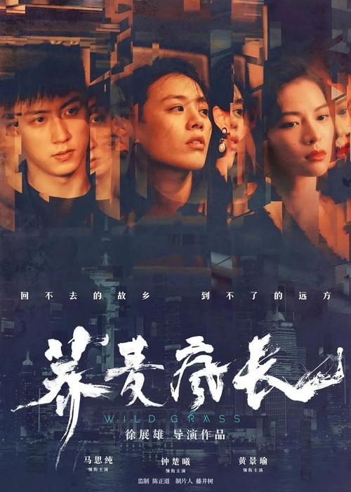 哪里能办理安道尔驾驶证